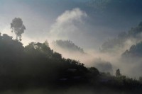 /album/fotos-afrika/kisoro-20-small-jpg/